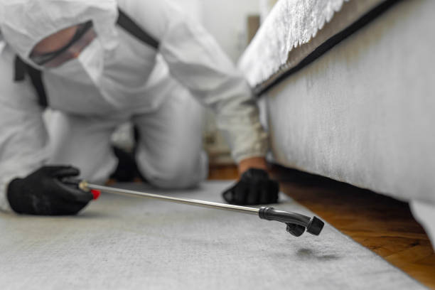 Professional Termite Control technician working in San Lorenzo, CA