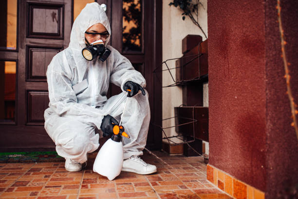 Reliable Termite Control contractor in San Lorenzo, CA by Nex Pest Control