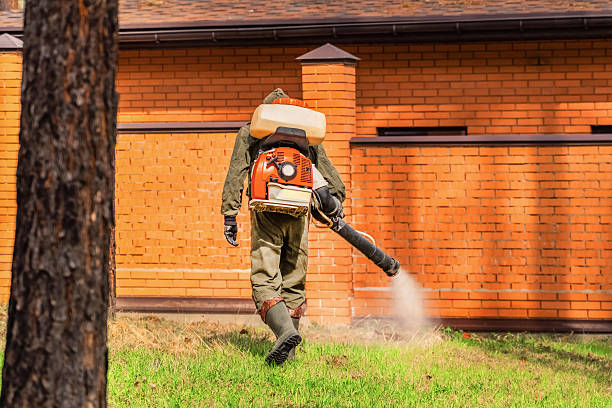 Trusted Emergency Pest Control service in San Lorenzo, CA - Nex Pest Control